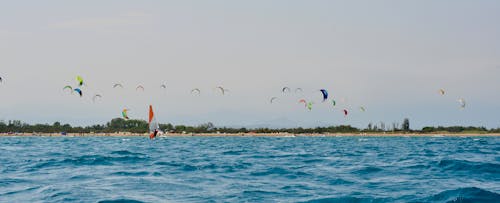 Free stock photo of kite surfing, kites