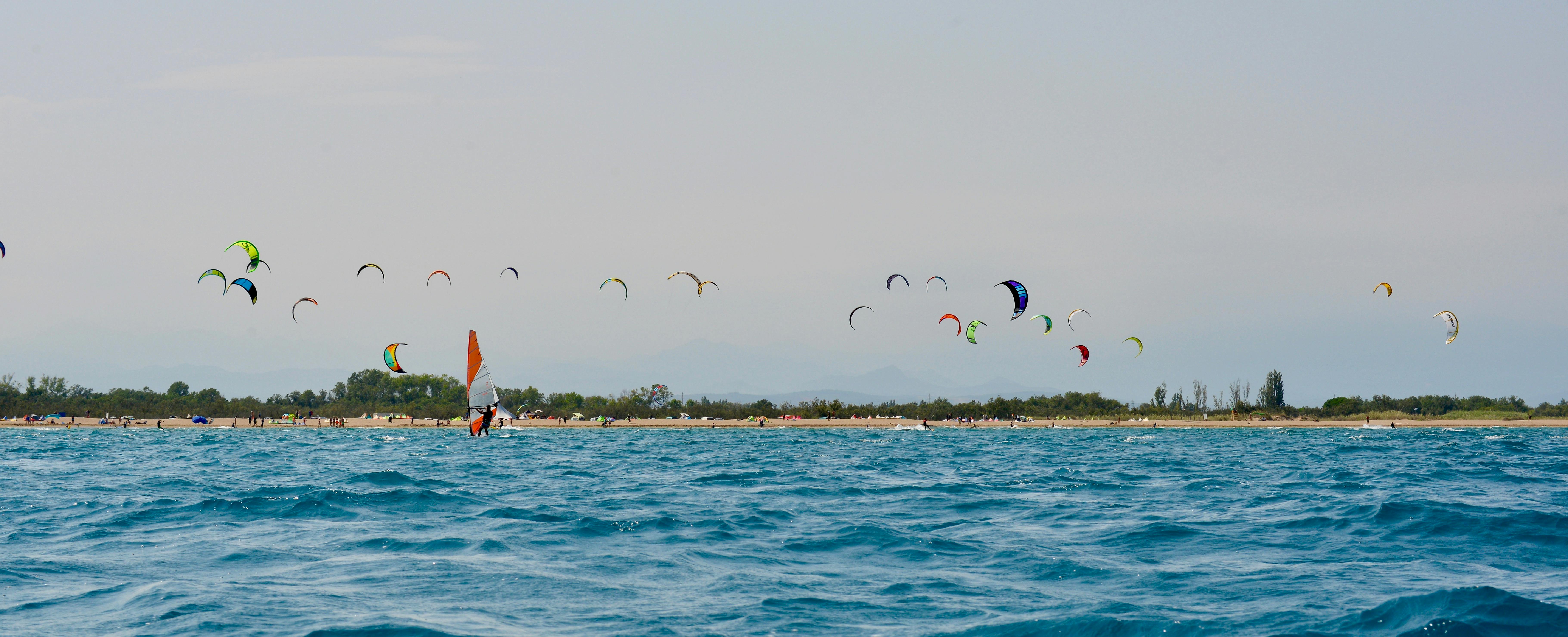 Free stock photo of kite surfing, kites