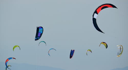 Free stock photo of kite surfing, kites