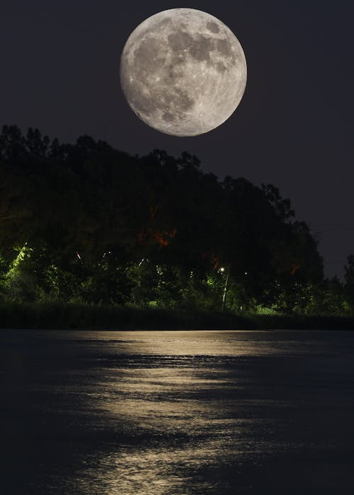 Full Moon over the Trees and the Sea