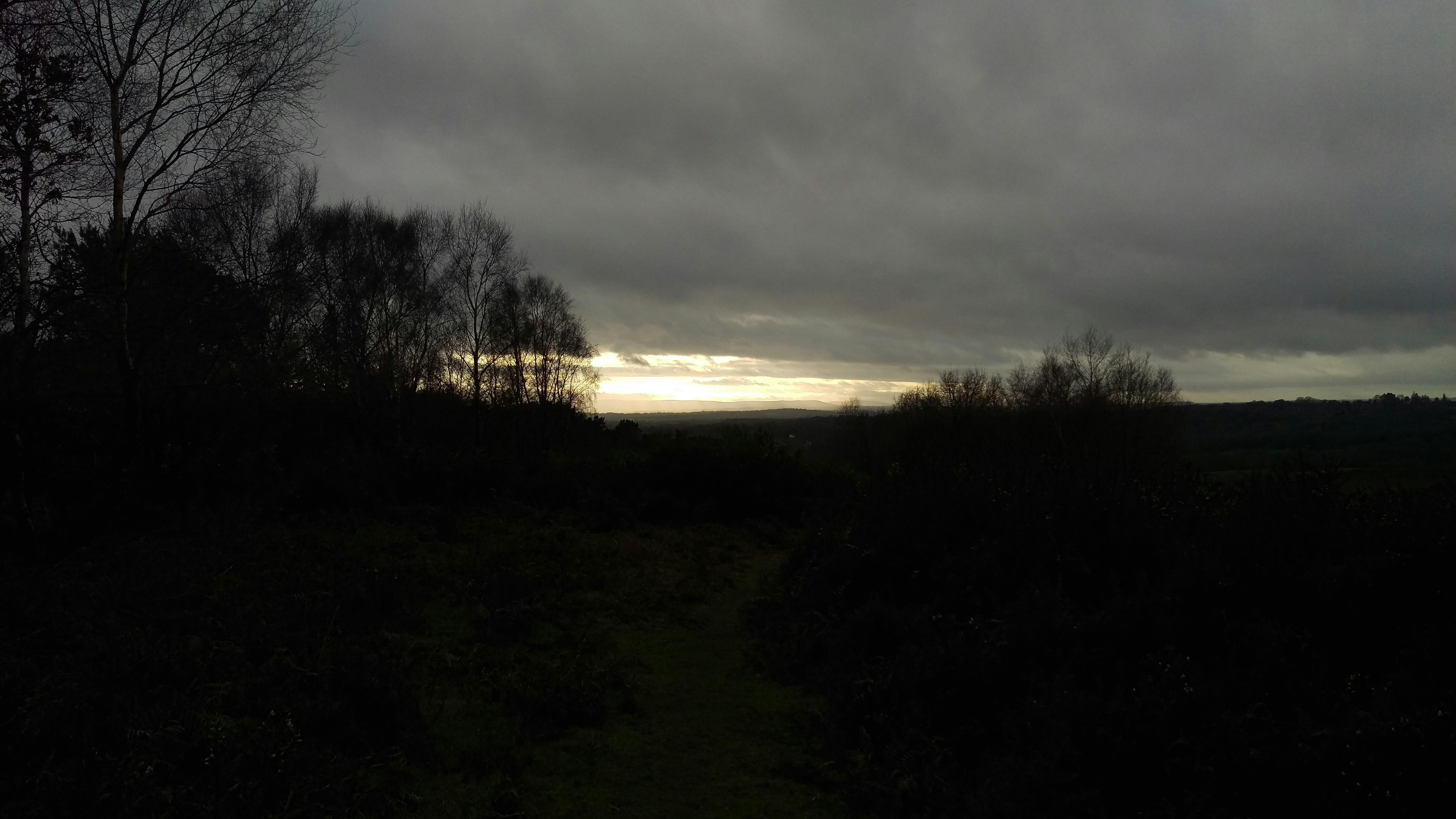 Free stock photo of ashdown forest, cloud, forest