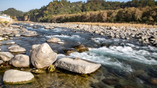 Free stock photo of corbett, kosiriver, river