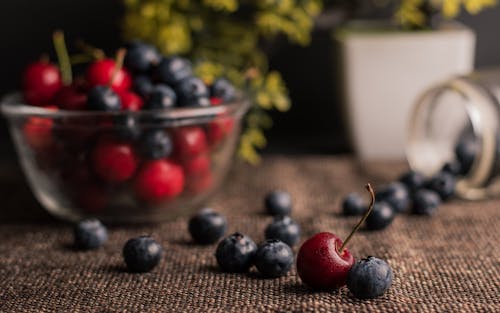 Kostnadsfria Kostnadsfri bild av blåbär, frukt, mat Stock foto