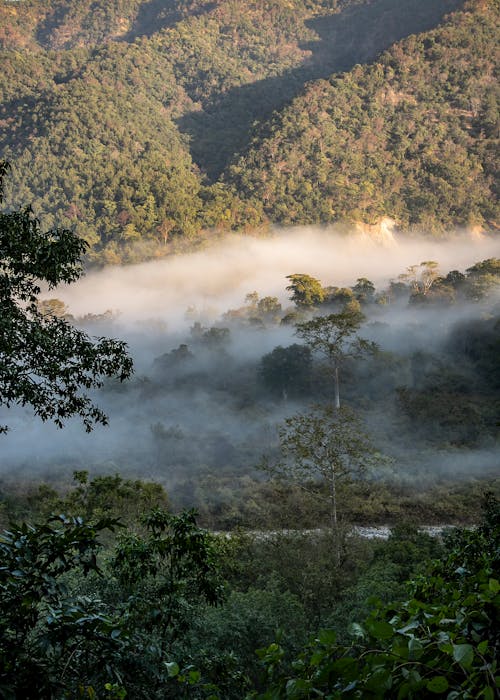 Free stock photo of corbett, durgadevi, incredibleindia