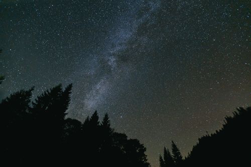 Free A breathtaking view of the Milky Way with silhouetted trees under a starry night sky. Stock Photo