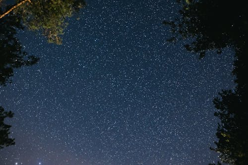 Free Blue Starry Sky during Night Time Stock Photo