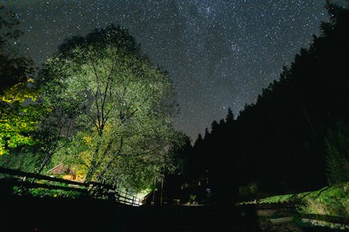 Бесплатное стоковое фото с hpuse, деревья, звездное небо