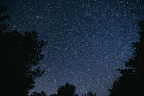 Gratis Immagine gratuita di cielo, natura, notte Foto a disposizione