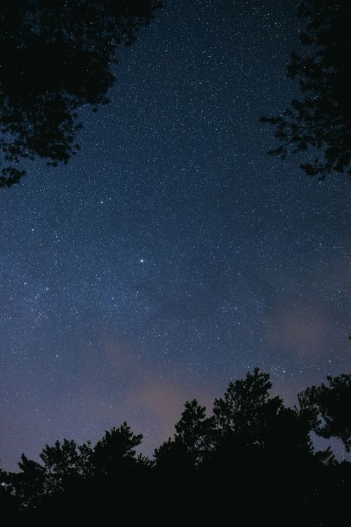 Free Beautiful starry night sky with silhouetted trees and galaxy view. Stock Photo