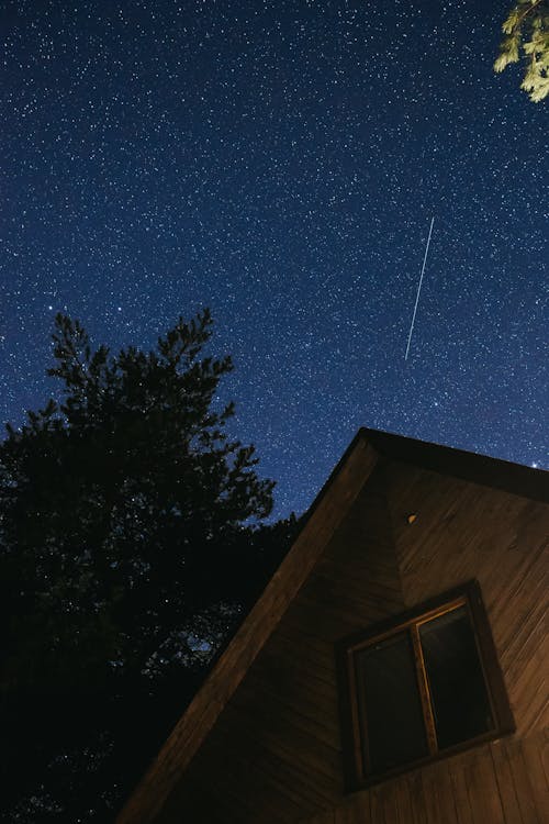 Imagine de stoc gratuită din arbore, astronomie, casă de lemn