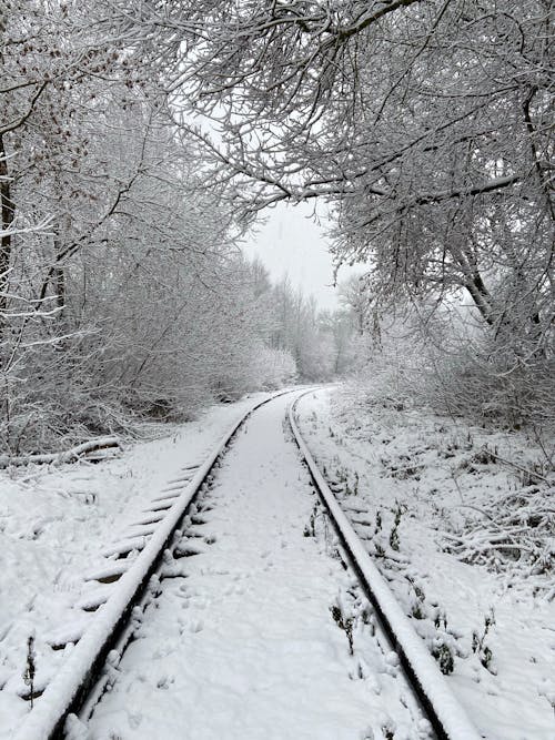 Free Snow Covered Railroad Between Bare Trees Stock Photo