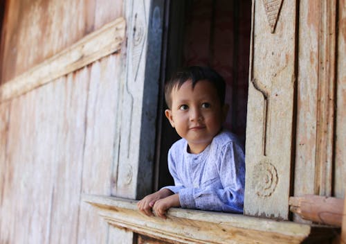 Photos gratuites de adorable, fenêtre en bois, fermer