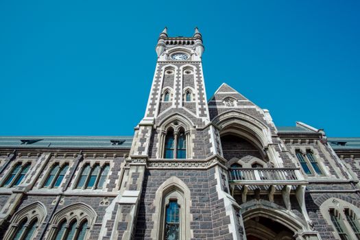 schools dunedin new
