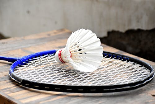 Free Shuttlecock on Badminton Racket Stock Photo