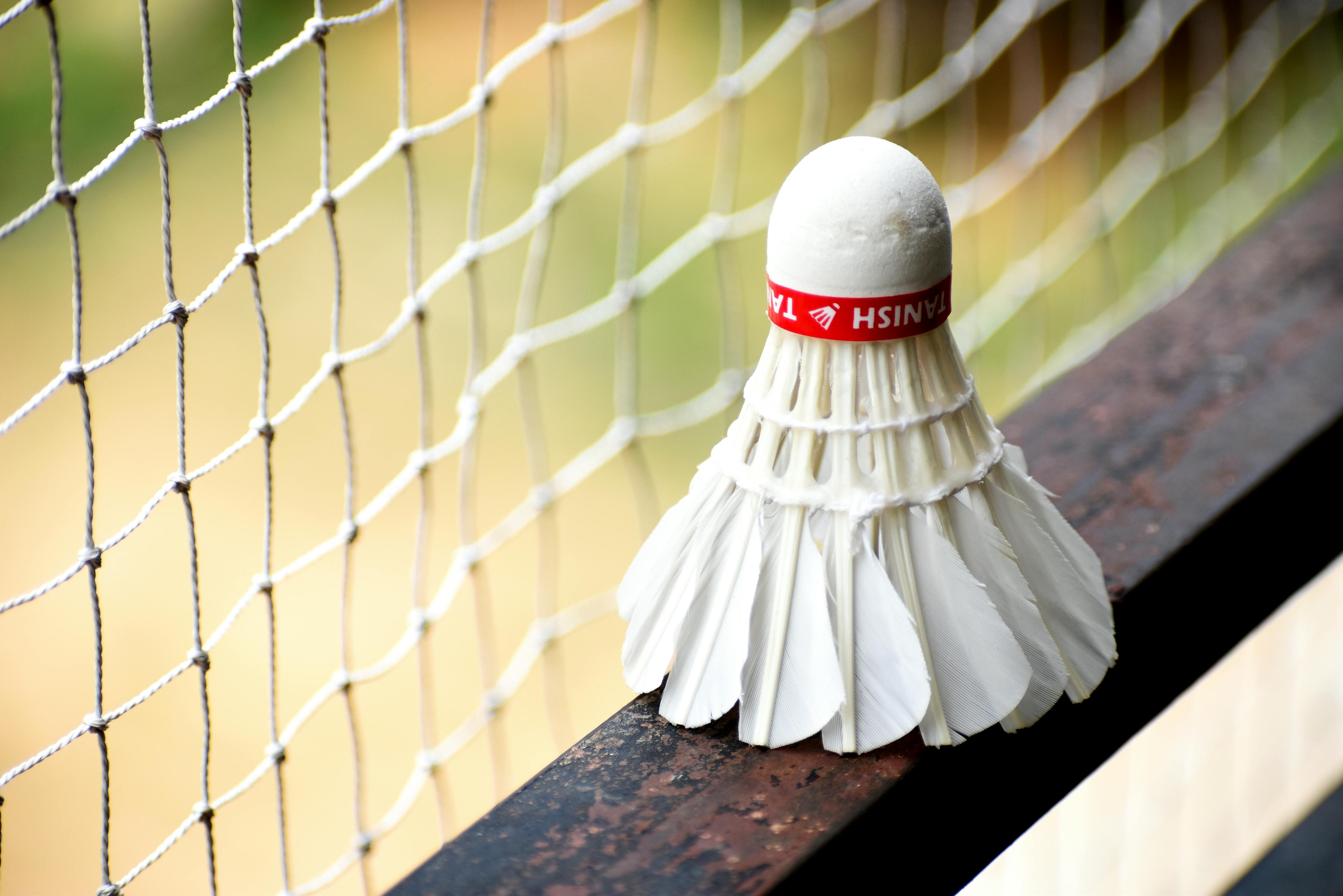 Shuttlecock on a Wooden Surface Near the Net · Free Stock Photo