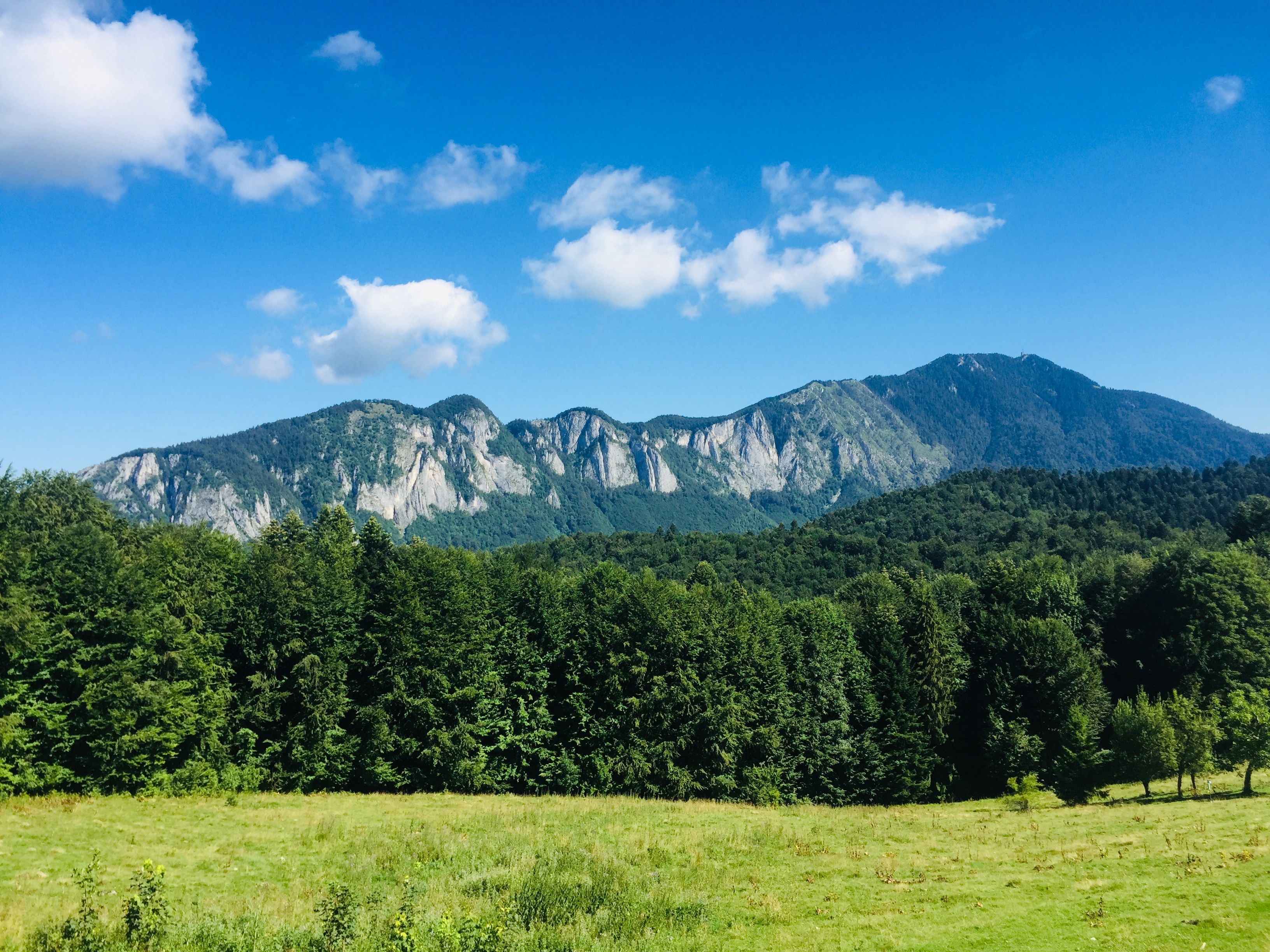 Hikers enjoying a trail in the majestic Carpathian Mountains of Romania