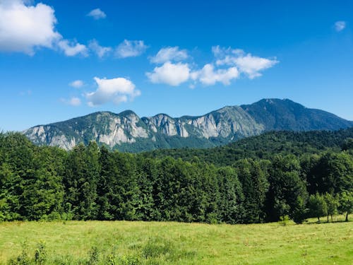 Free View on Mountains on Sunny Day Stock Photo