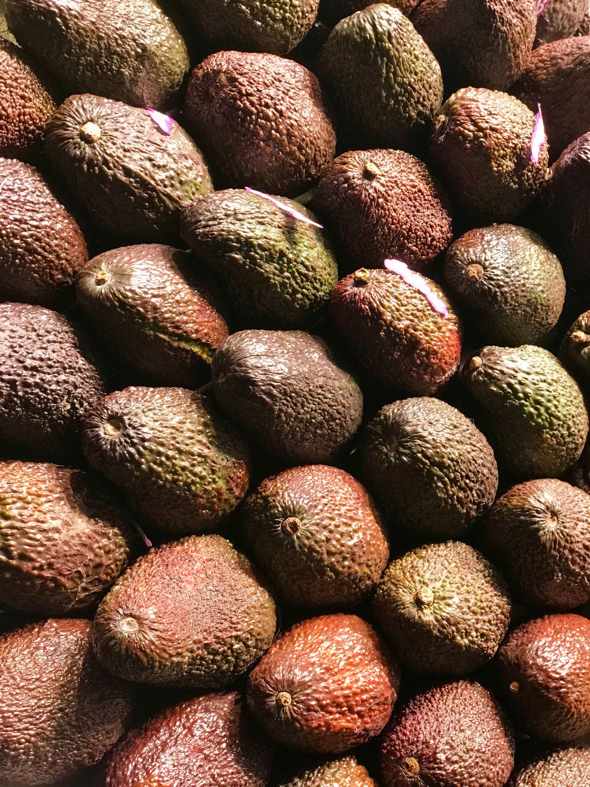 A pile of fresh avocados