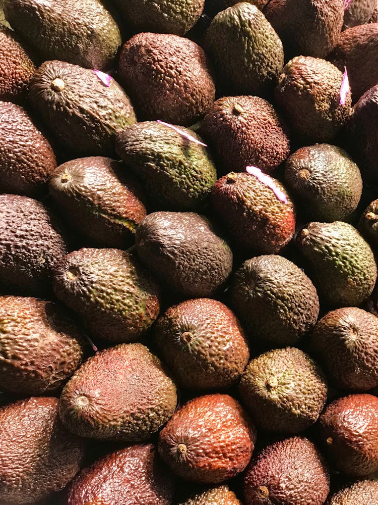 Avocado Lot