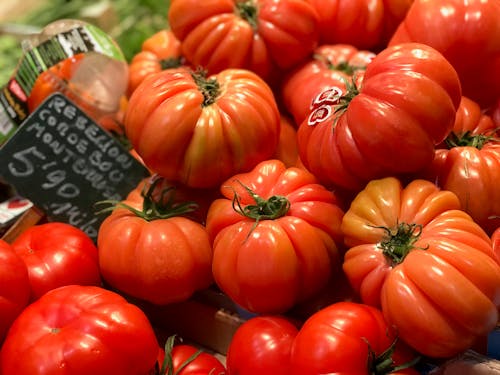 Foto stok gratis tomat