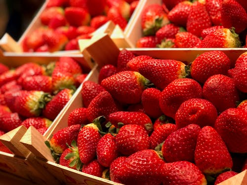 Gratis lagerfoto af jordbær