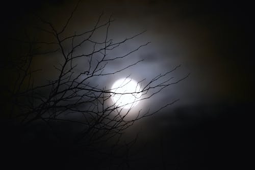 Gratis lagerfoto af måne