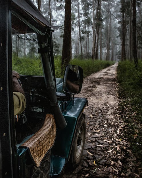 Side of a Vintage Car Driving Through a Forest 