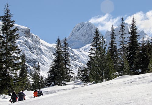 下雪的, 冬季, 登山遠足 的 免費圖庫相片