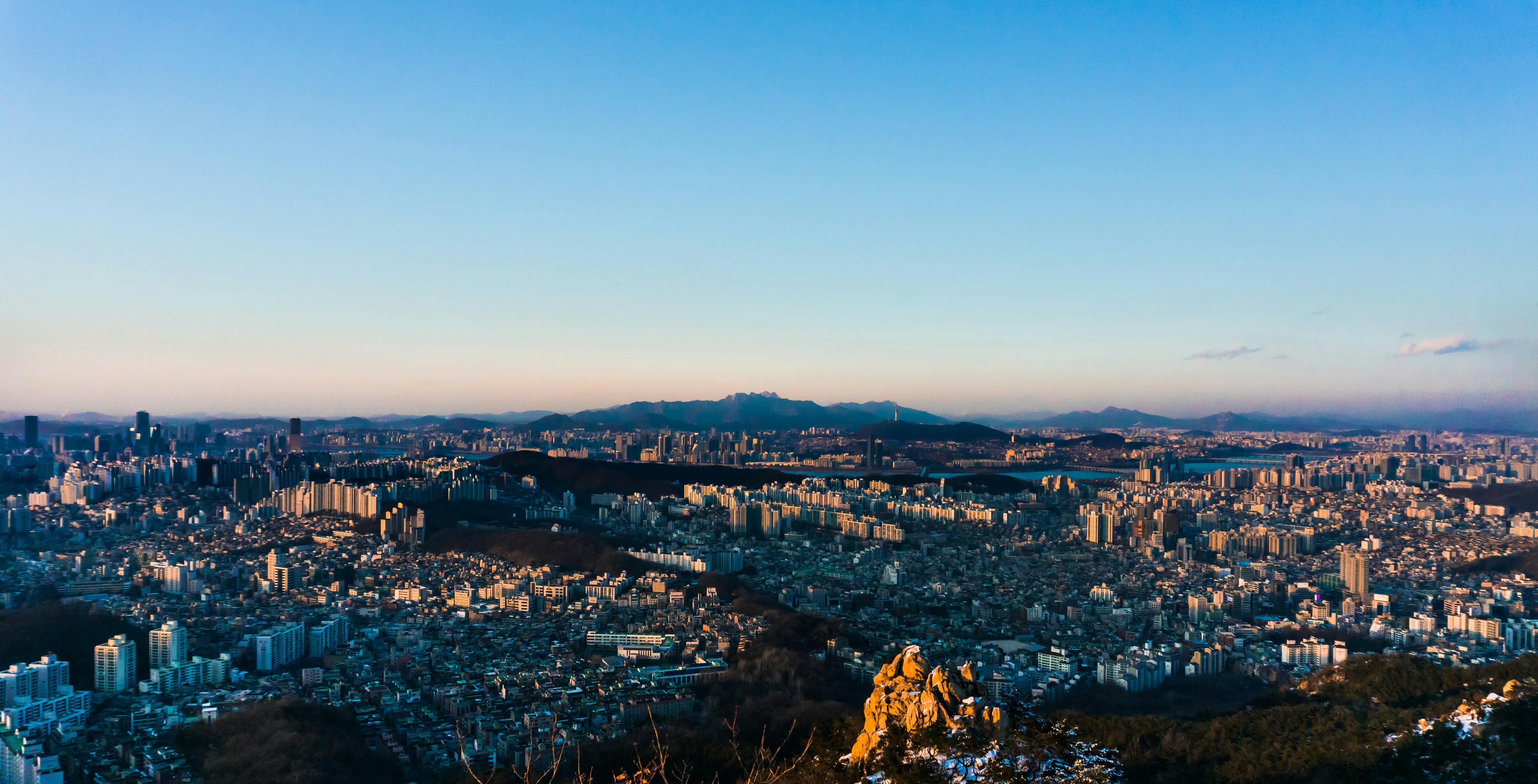 Free stock photo of birds of view, korea, seoul