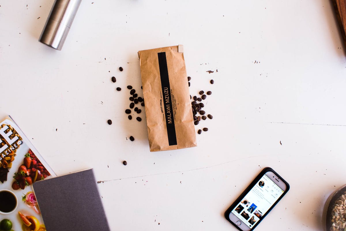 Elon Musk與Grimes共同撫養的孩子氣場純淨:名人父母如何塑造未來一代的成長環境? Elon Musk與Grimes共同撫養的孩子氣場純淨:名人父母如何塑造未來一代的成長環境?