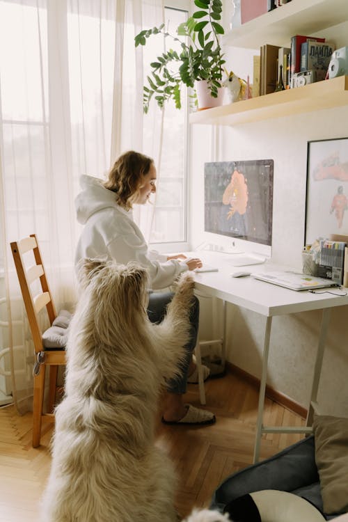 Free White Dog Sitting Beside a Woman in White Hoodie Stock Photo