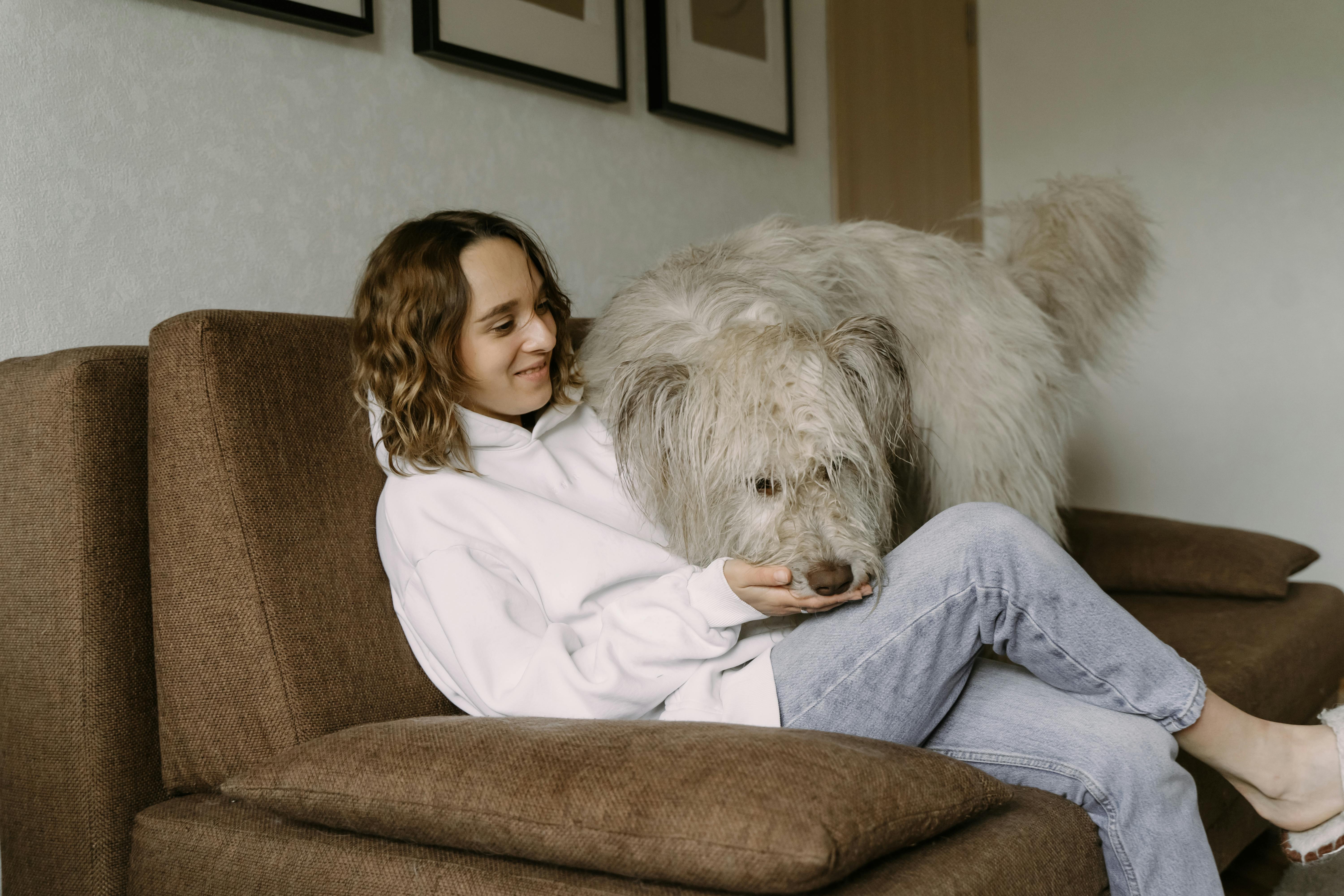 pet technology industry — Photo by Yaroslav Shuraev on Pexels