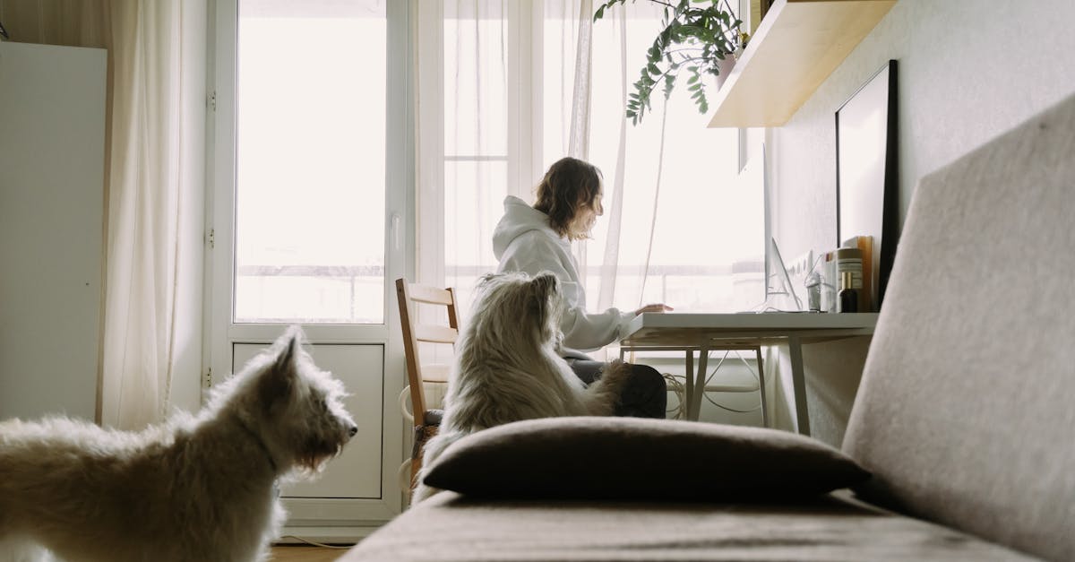 9 Dog Breeds That Were Originally Working Dogs