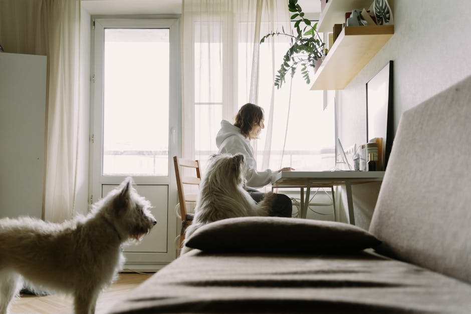 Enhancing Creativity and Productivity