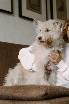 Adorable mixed breed dog lounging on a couch with owner nearby, showcasing a cozy indoor setting.