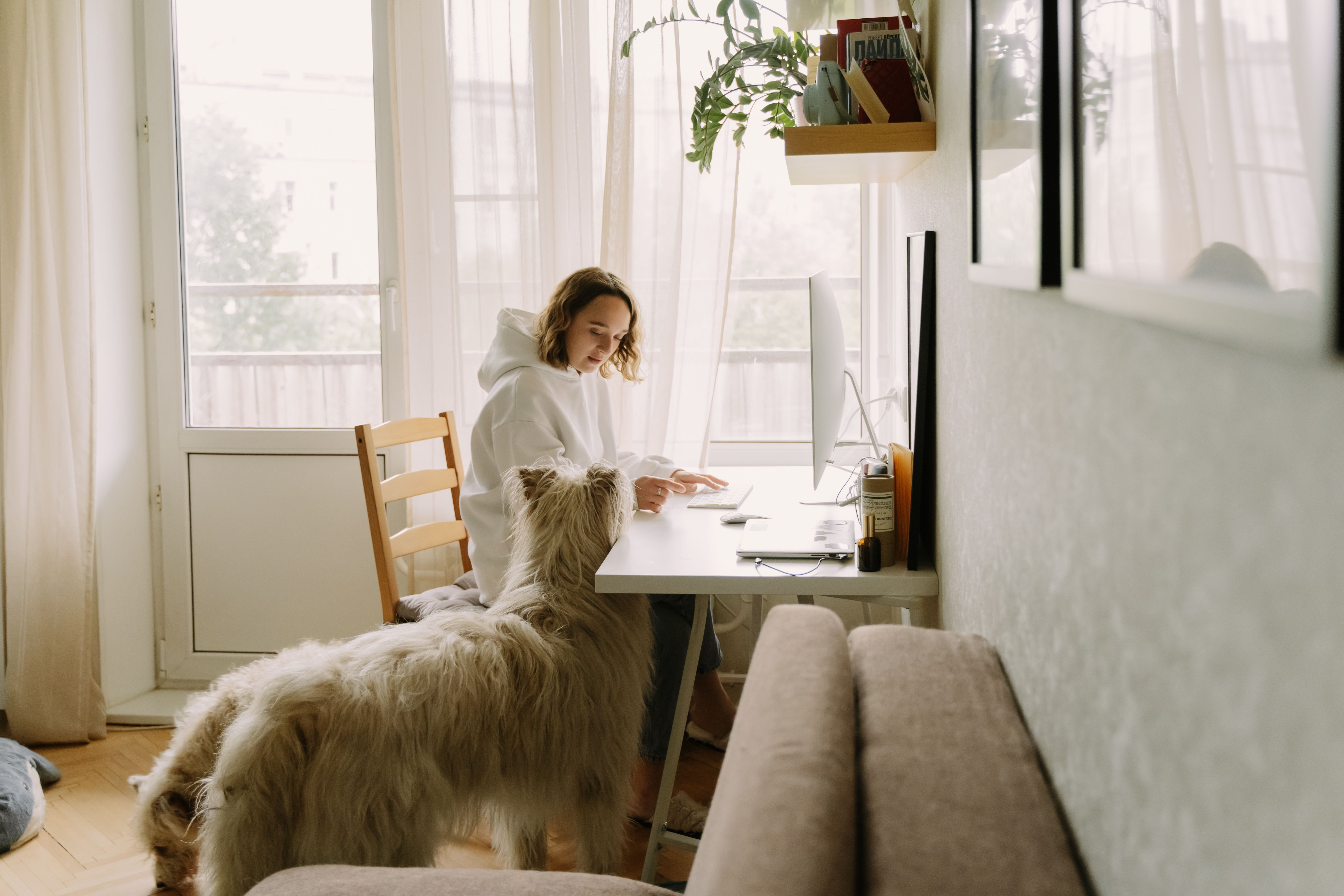 A woman in casual wear works at home on a computer, accompanied by a large white dog.