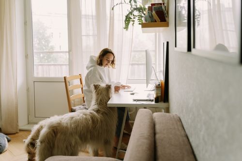 Woman with her Dog in Front of a Computer · Free Stock Photo