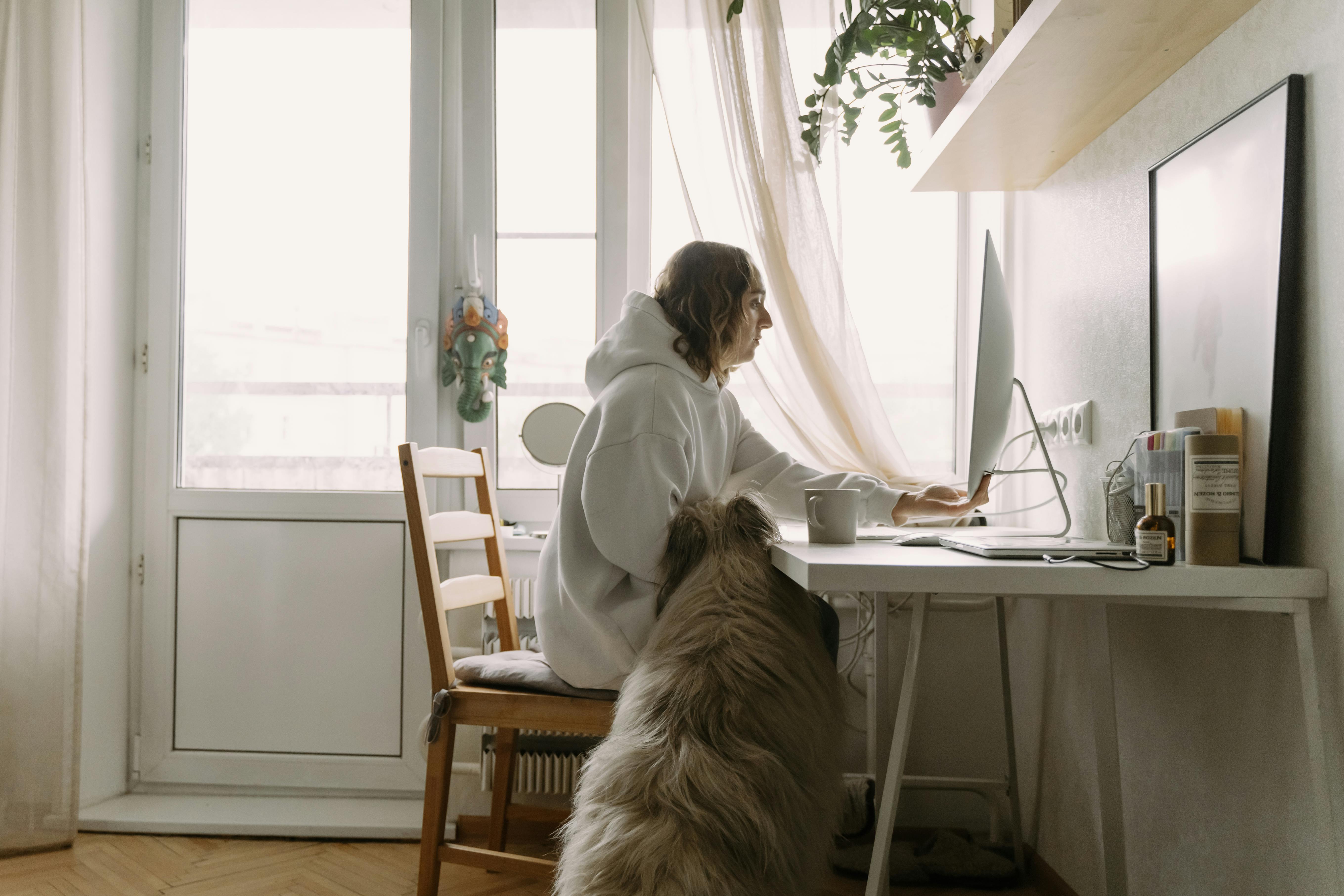 pet technology industry — Photo by Yaroslav Shuraev on Pexels