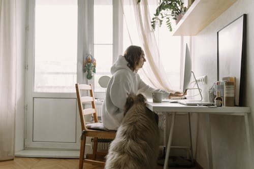 Free Woman Using Computer Beside Her Dog Stock Photo