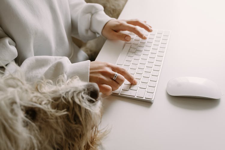 Person Using Keyboard Beside A Dog