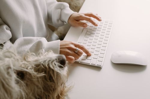Free A person typing on a wireless keyboard with a fluffy dog nearby, showcasing companionship and modern technology. Stock Photo