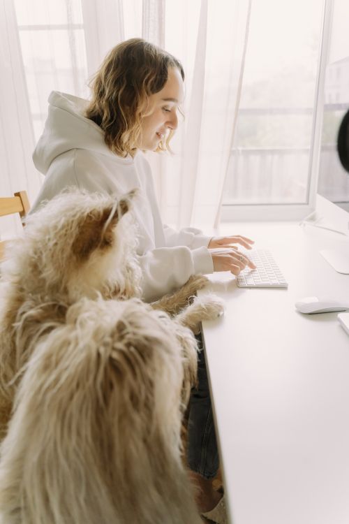 Free A woman typing on a keyboard with a fluffy dog beside her, indoors. Stock Photo