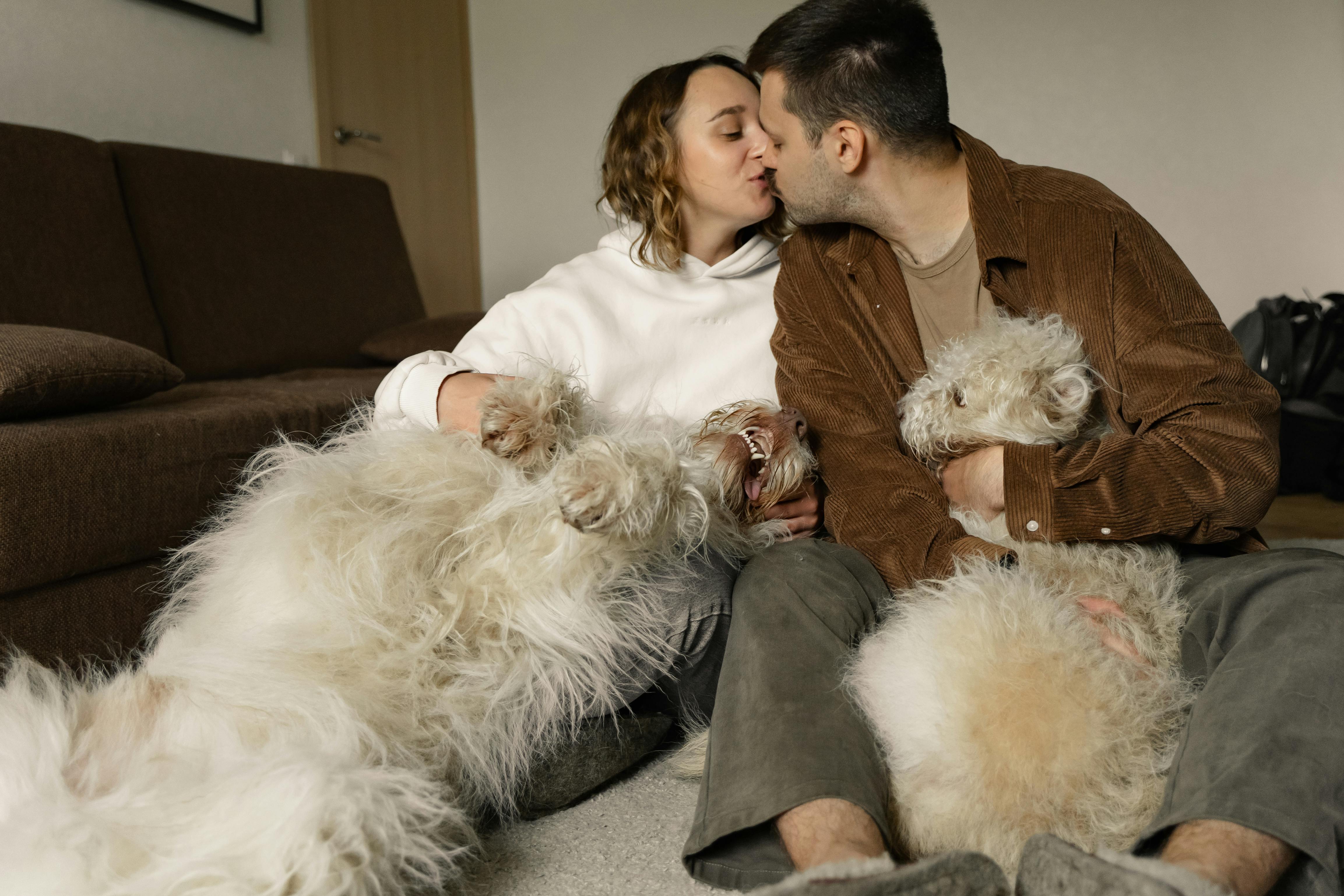 A Couple Kissing while Holding Their Pet Dogs · Free Stock Photo