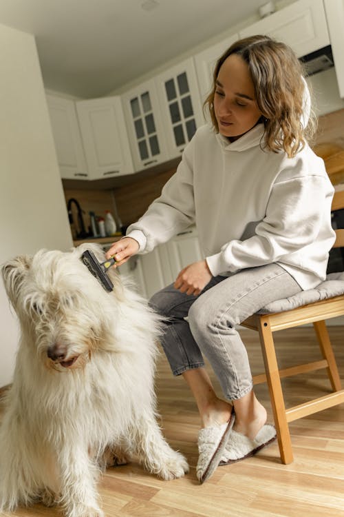A Woman in Hoodie Jacket Grooming Her Dog