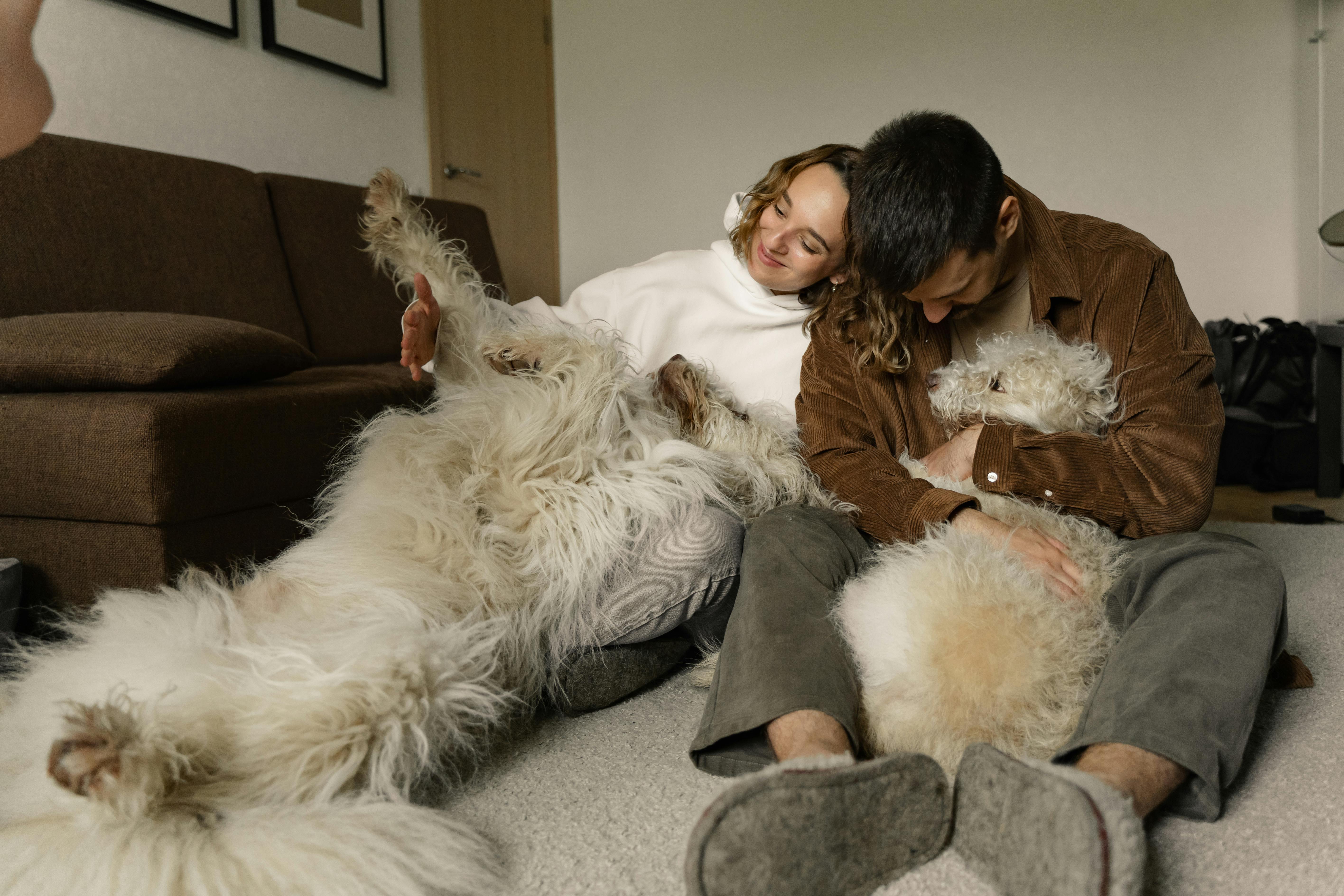 A Couples Sitting on the Carpet Cuddles Their Pet Dogs