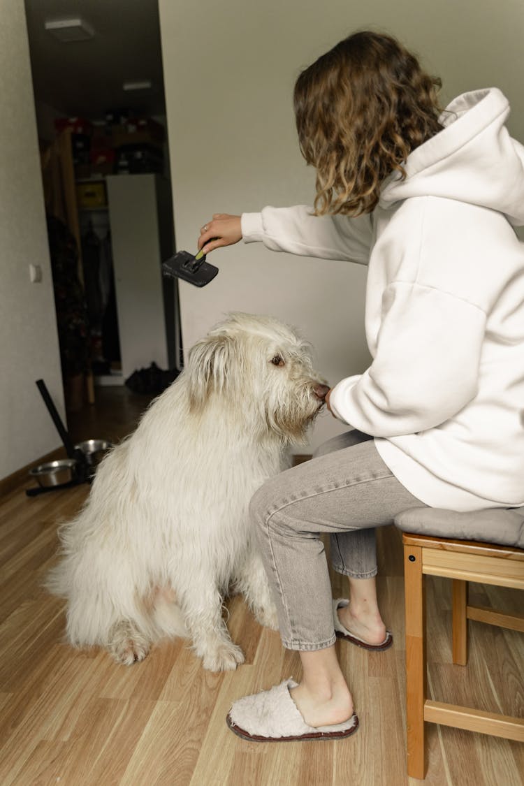 A Woman In White Hoodie Grooming The Dog