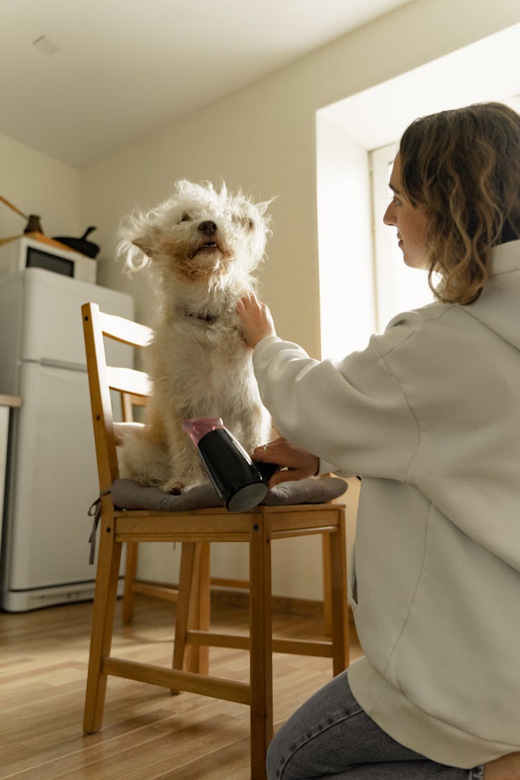 Woman Drying The Fur Of A Dog