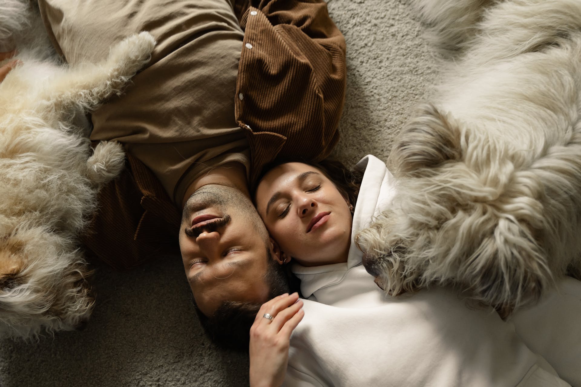 A Couple Sleeping on the Carpet with the Dogs