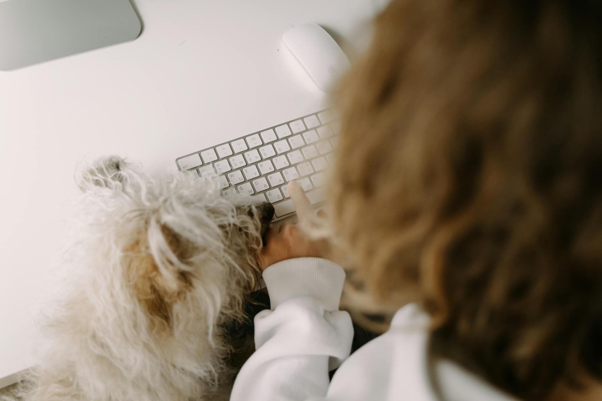 A Dog Standing Beside a Person While Using the Computer Keyboard