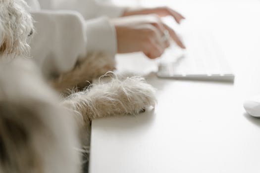 A human and a shaggy dog working together at a desk, a blend of companionship and productivity.
